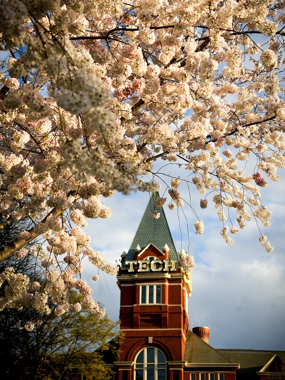 Close up of Tech Tower obscured by tree blooms.